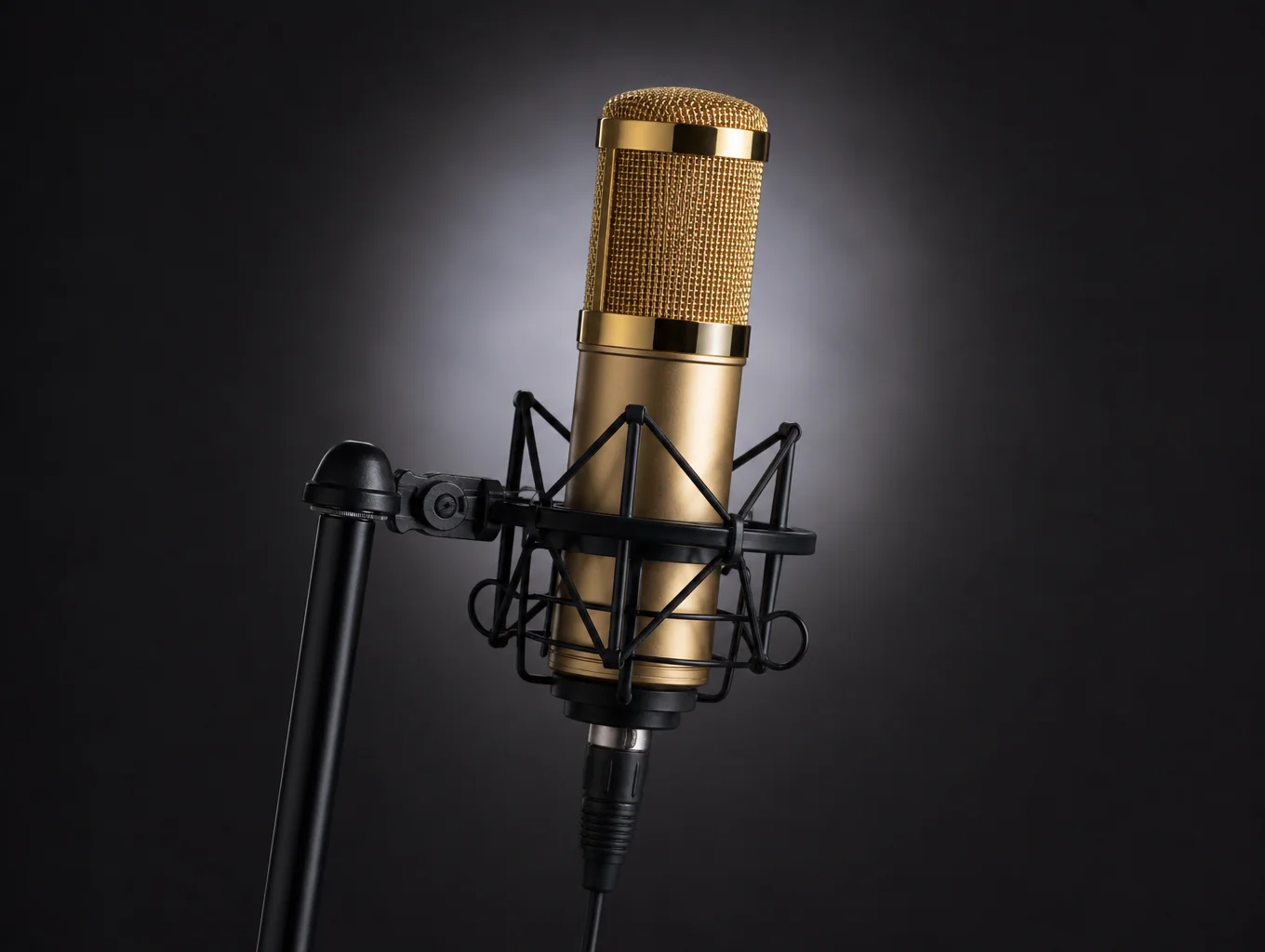Close-up of stage microphone